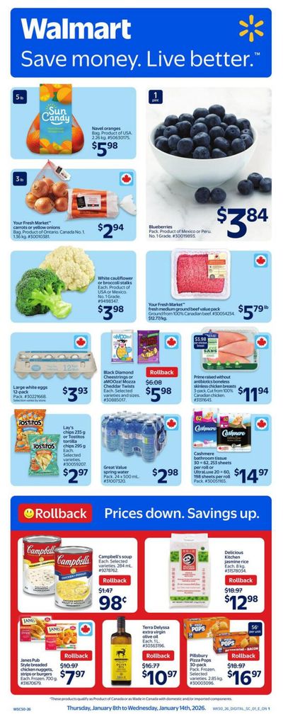 Walmart (ON) Flyer January 8 to 14