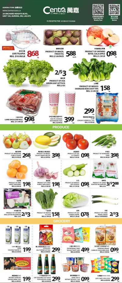 Centra Foods (Aurora) Flyer January 9 to 15
