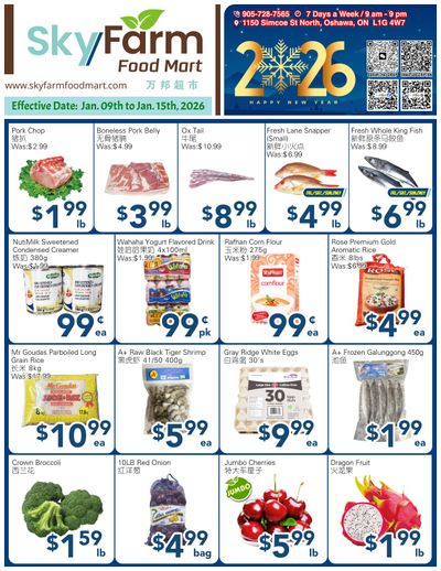 SkyFarm Food Mart Flyer January 9 to 15