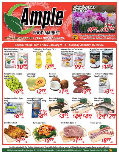 Ample Food Market (Brampton) Flyer January 9 to 15