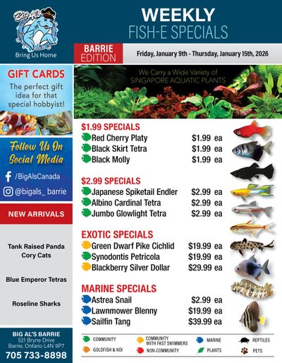 Big Al's (Barrie) Weekly Specials January 9 to 15