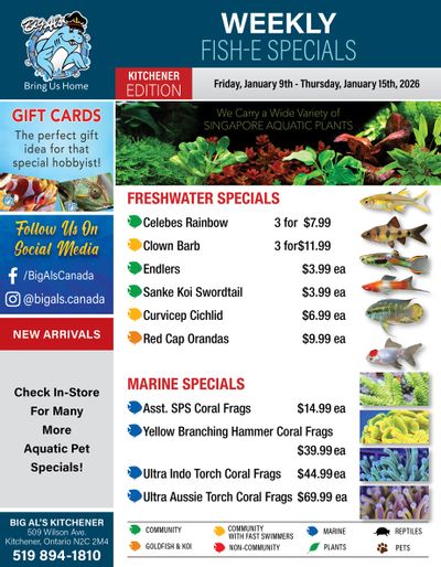 Big Al's (Kitchener) Weekly Specials January 9 to 15