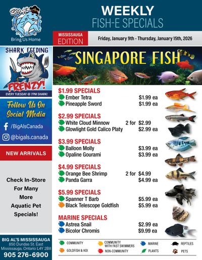 Big Al's (Mississauga) Weekly Specials January 9 to 15