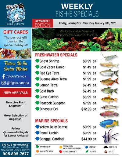 Big Al's (Newmarket) Weekly Specials January 9 to 15