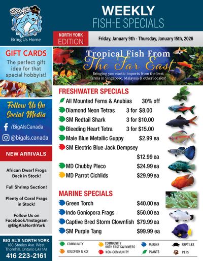 Big Al's (North York) Weekly Specials January 9 to 15