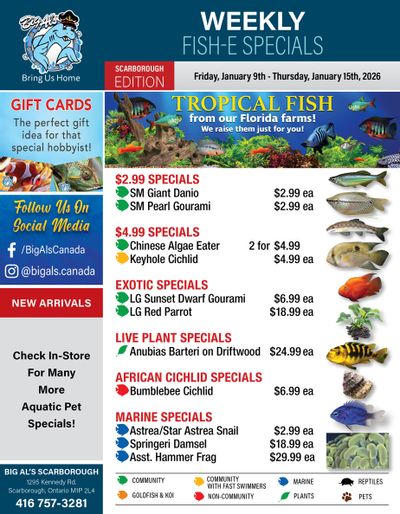Big Al's (Scarborough) Weekly Specials January 9 to 15