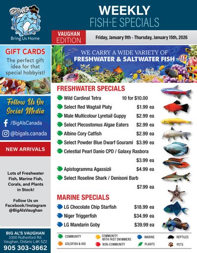 Big Al's (Vaughan) Weekly Specials January 9 to 15