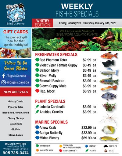 Big Al's (Whitby) Weekly Specials January 9 to 15