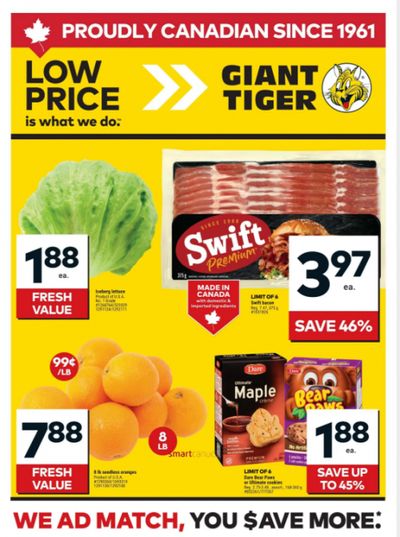 Giant Tiger Canada Flyer Deals January 14th – 20th