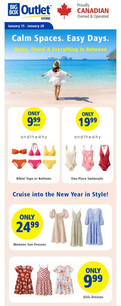Big Box Outlet Store Flyer January 15 to 28