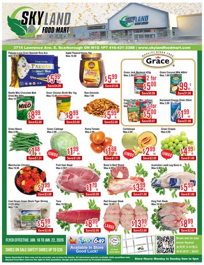 Skyland Food Mart Flyer January 16 to 22