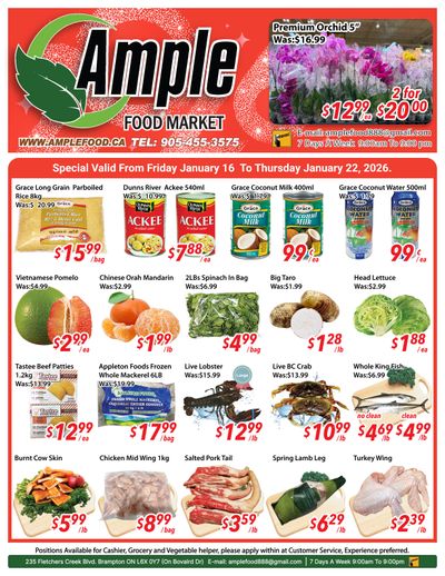 Ample Food Market (Brampton) Flyer January 16 to 22