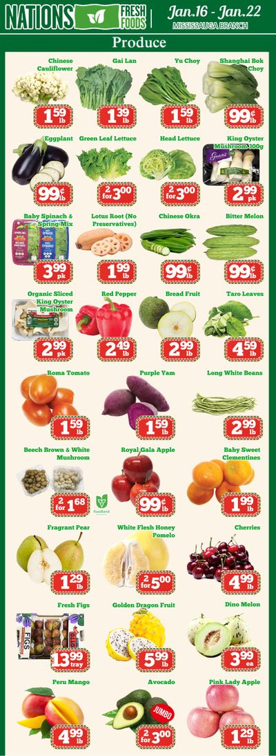 Nations Fresh Foods (Mississauga) Flyer January 16 to 22