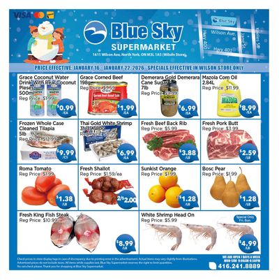 Blue Sky Supermarket (North York) Flyer January 16 to 22