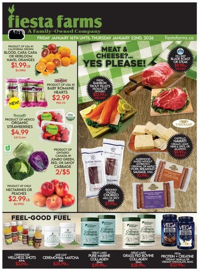 Fiesta Farms Flyer January 16 to 22