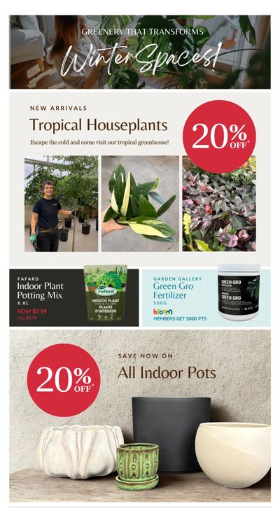 Lakeside Garden Gallery Flyer January 16 to 22