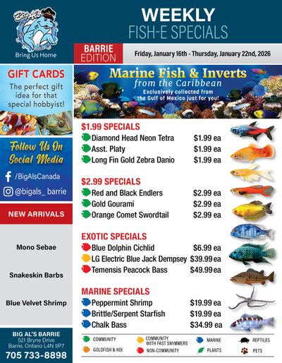 Big Al's (Barrie) Weekly Specials January 16 to 22