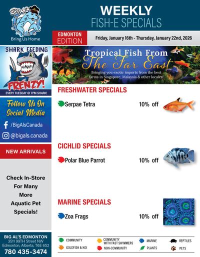 Big Al's (Edmonton) Weekly Specials January 16 to 22