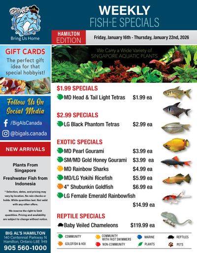 Big Al's (Hamilton) Weekly Specials January 16 to 22