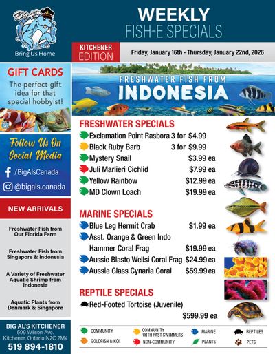 Big Al's (Kitchener) Weekly Specials January 16 to 22