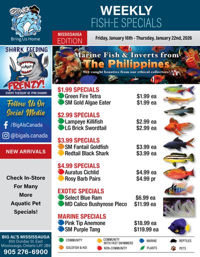 Big Al's (Mississauga) Weekly Specials January 16 to 22