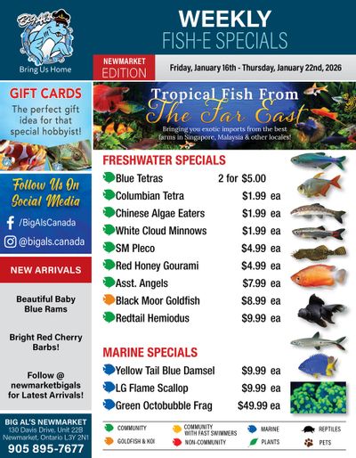 Big Al's (Newmarket) Weekly Specials January 16 to 22