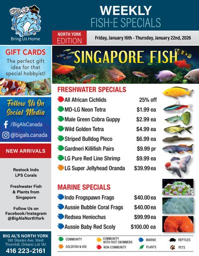 Big Al's (North York) Weekly Specials January 16 to 22