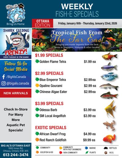 Big Al's (Ottawa) Weekly Specials January 16 to 22