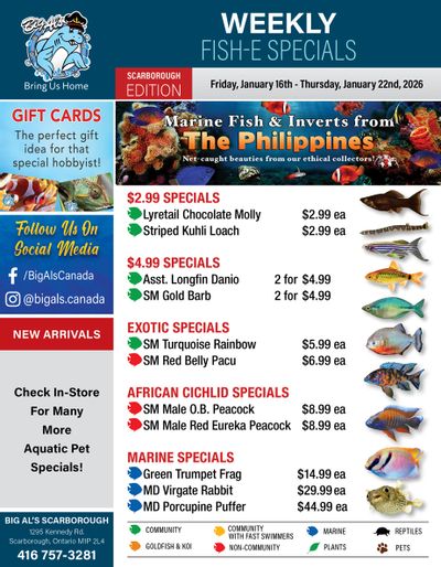 Big Al's (Scarborough) Weekly Specials January 16 to 22
