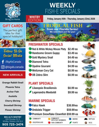 Big Al's (Whitby) Weekly Specials January 16 to 22