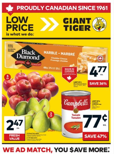 Giant Tiger Canada Flyer Deals January 21st – 27th