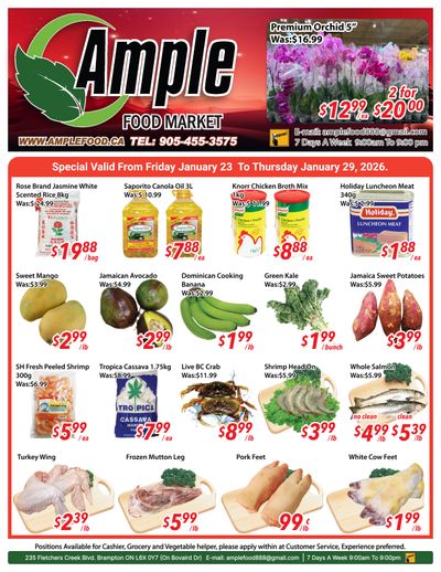 Ample Food Market (Brampton) Flyer January 23 to 29