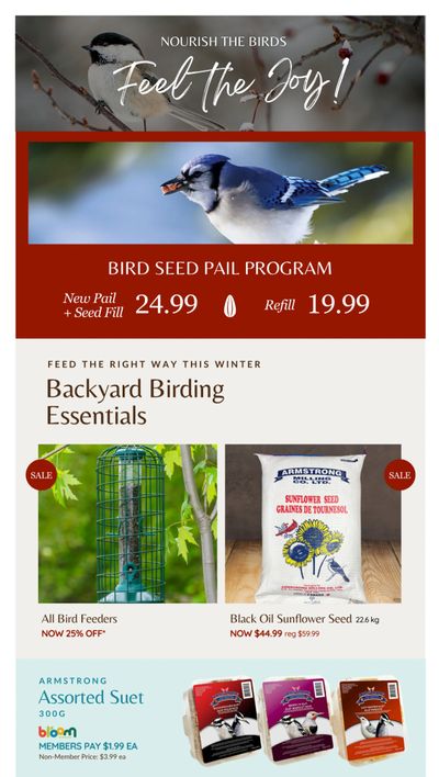 Lakeside Garden Gallery Flyer January 23 to 29