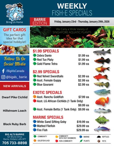 Big Al's (Barrie) Weekly Specials January 23 to 29