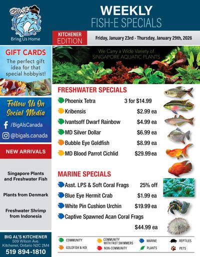 Big Al's (Kitchener) Weekly Specials January 23 to 29