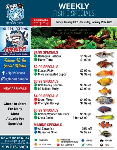 Big Al's (Mississauga) Weekly Specials January 23 to 29