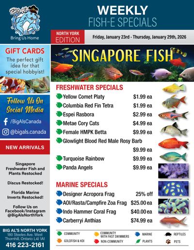 Big Al's (North York) Weekly Specials January 23 to 29