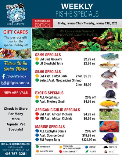 Big Al's (Scarborough) Weekly Specials January 23 to 29