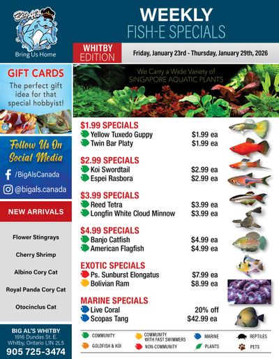 Big Al's (Whitby) Weekly Specials January 23 to 29