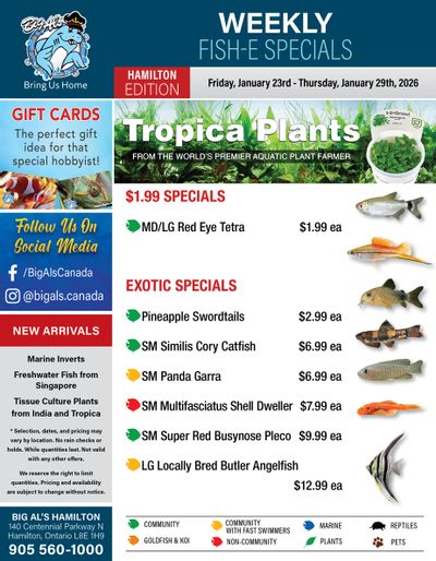 Big Al's (Hamilton) Weekly Specials January 23 to 29
