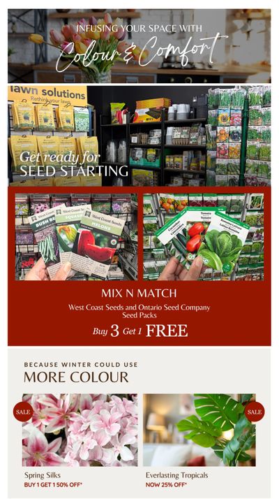 Lakeside Garden Gallery Flyer January 30 to February 5