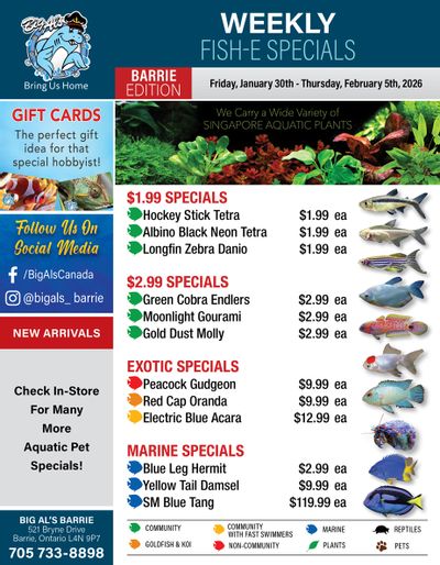Big Al's (Barrie) Weekly Specials January 30 to February 5
