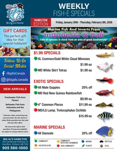 Big Al's (Hamilton) Weekly Specials January 30 to February 5
