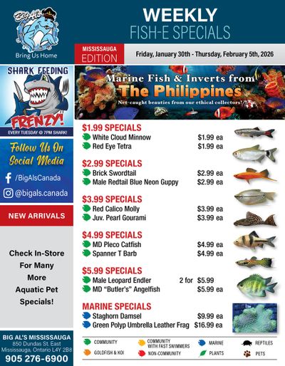 Big Al's (Mississauga) Weekly Specials January 30 to February 5