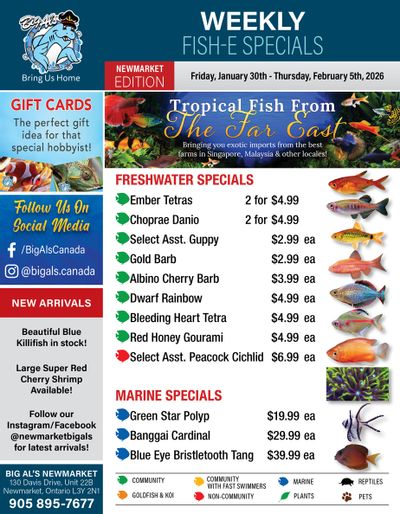 Big Al's (Newmarket) Weekly Specials January 30 to February 5