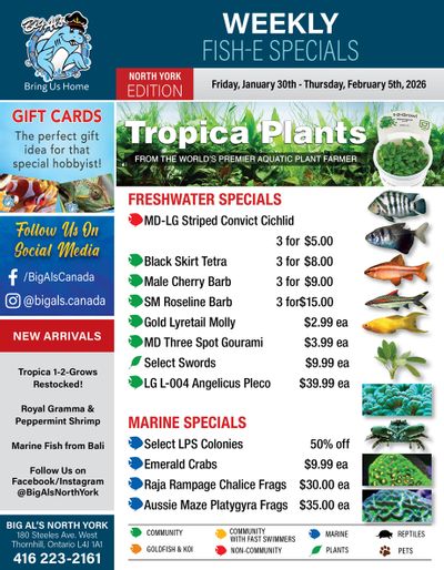 Big Al's (North York) Weekly Specials January 30 to February 5