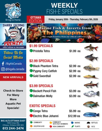 Big Al's (Ottawa) Weekly Specials January 30 to February 5