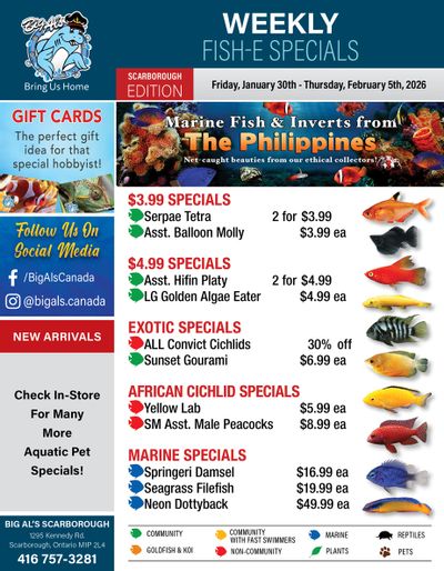 Big Al's (Scarborough) Weekly Specials January 30 to February 5
