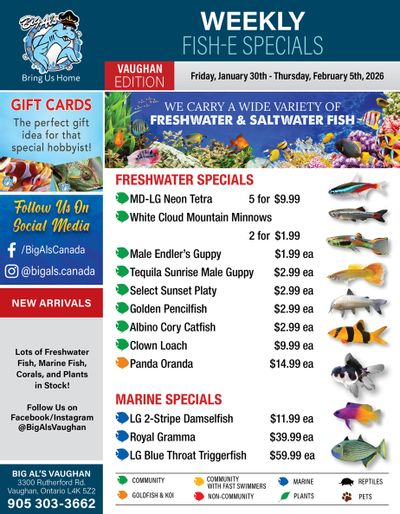 Big Al's (Vaughan) Weekly Specials January 30 to February 5