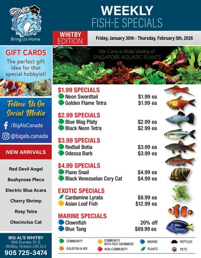 Big Al's (Whitby) Weekly Specials January 30 to February 5